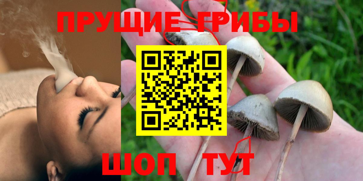 Псилоцибиновые грибы GOLDEN TEACHER Абакан